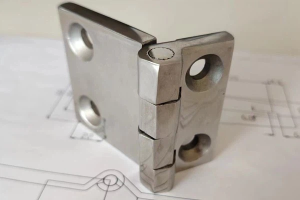 Polished Special Hinges