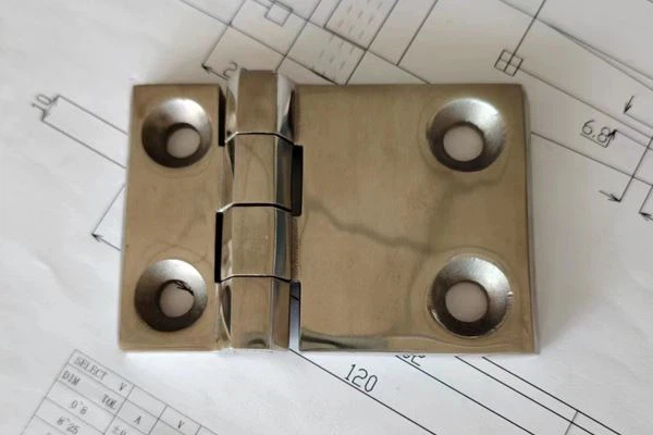 Polished Special Hinges